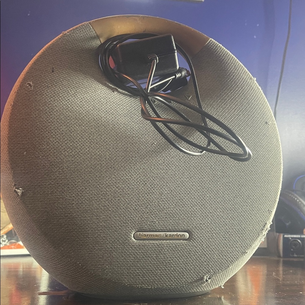 Harman Kardon Gray Wireless Speaker